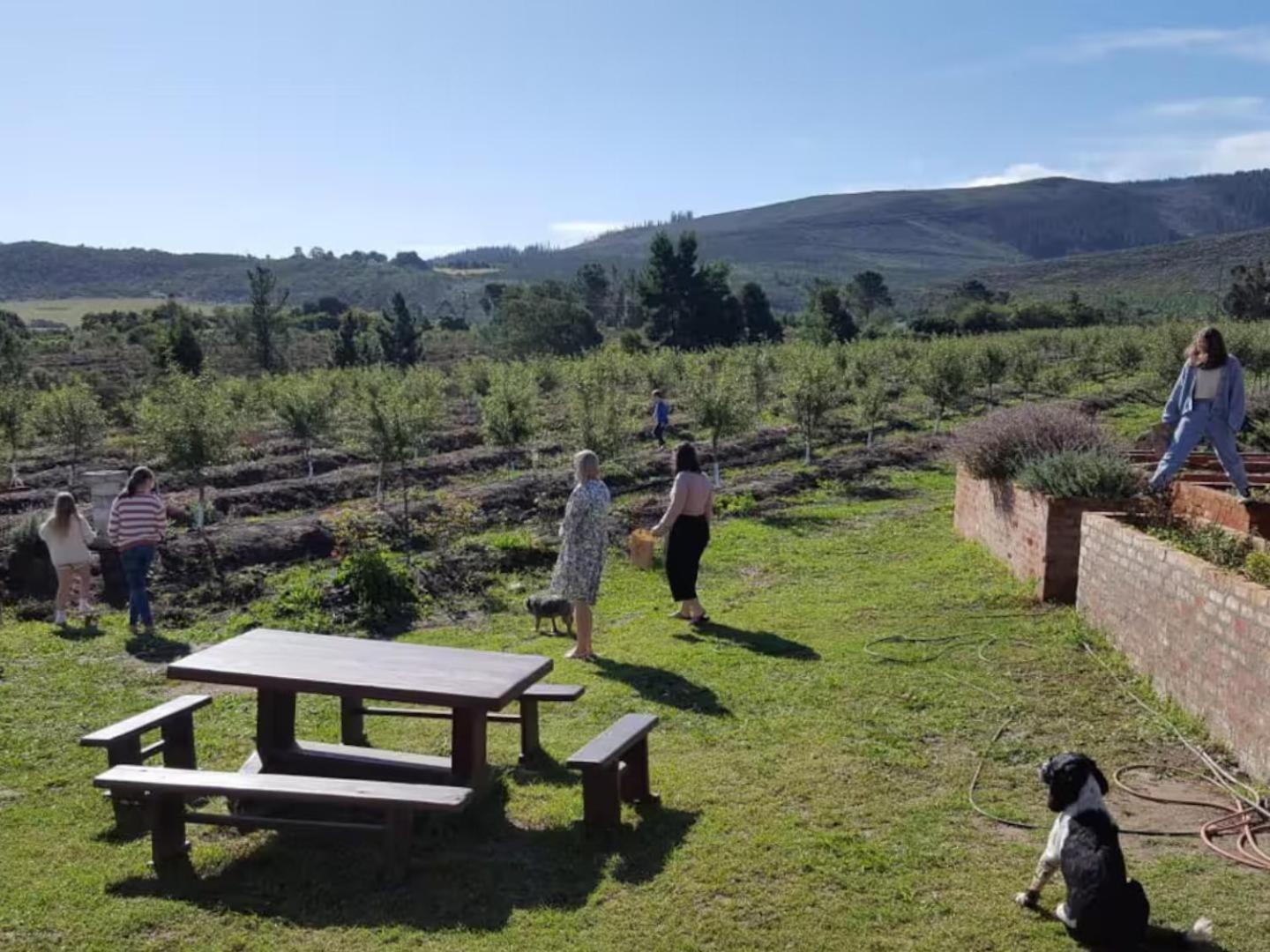 20 Good Summers Farm Stay The Crags 외부 사진