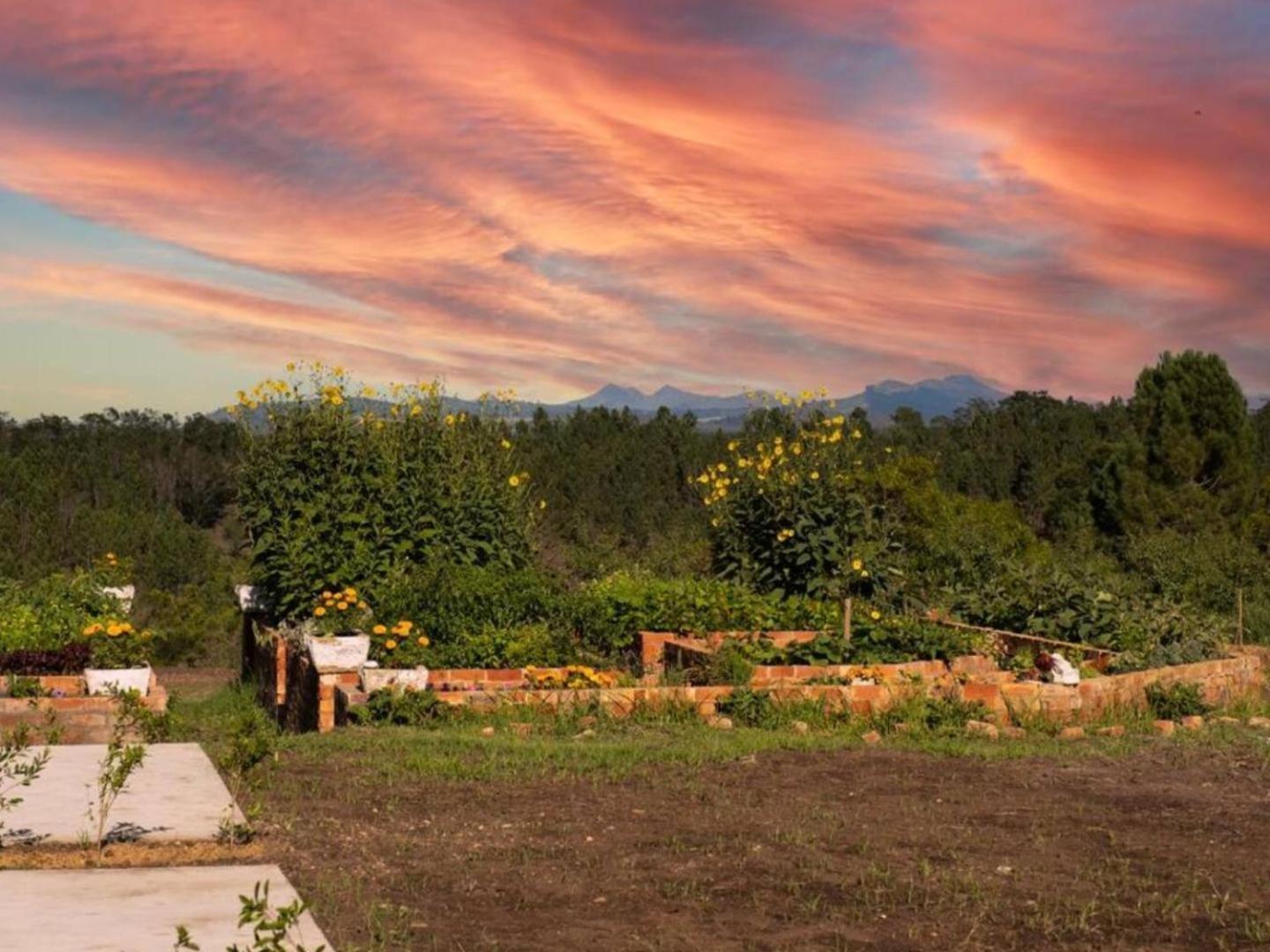 20 Good Summers Farm Stay The Crags 외부 사진