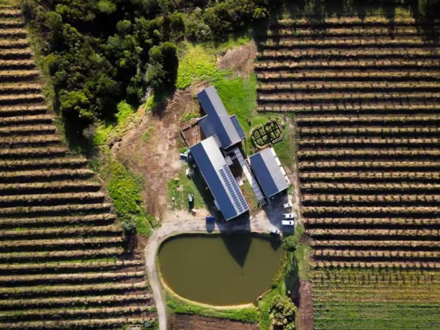 20 Good Summers Farm Stay The Crags 외부 사진