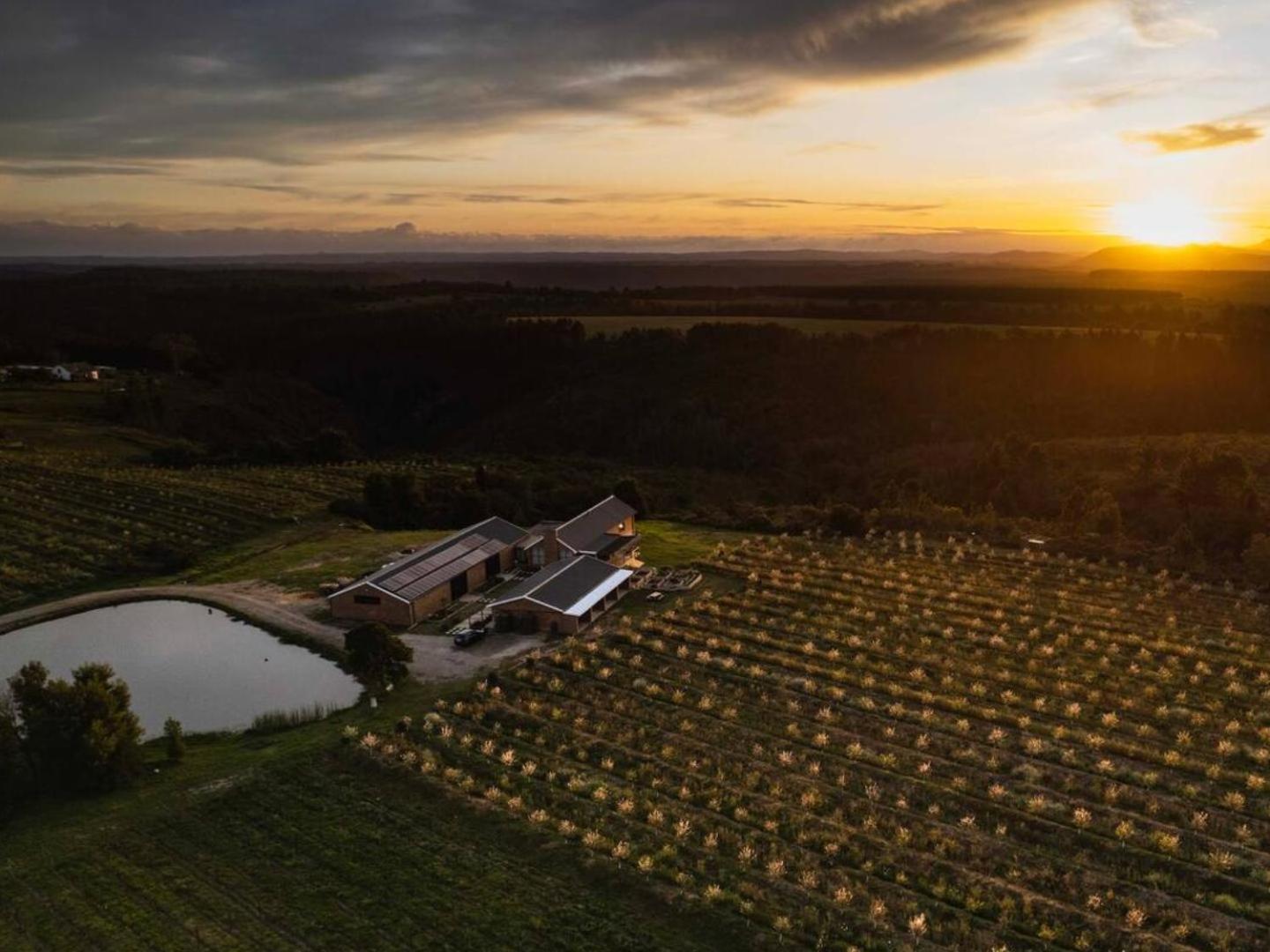 20 Good Summers Farm Stay The Crags 외부 사진